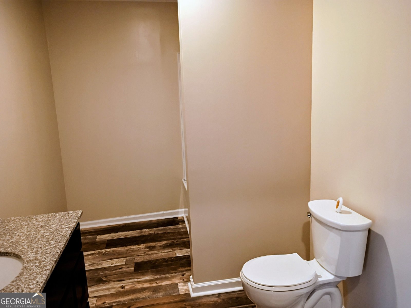 624 Thompson Road Swainsboro - Photo 8