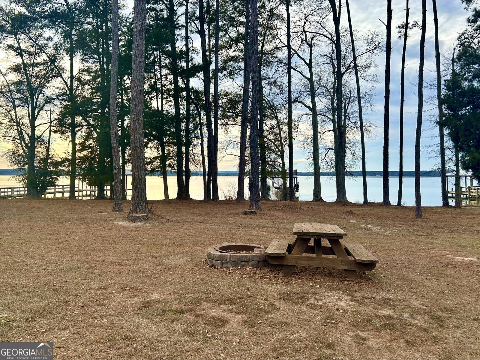 110 Lakeview Drive Fort Gaines - Photo 28