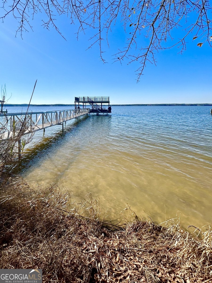 110 Lakeview Drive Fort Gaines - Photo 34