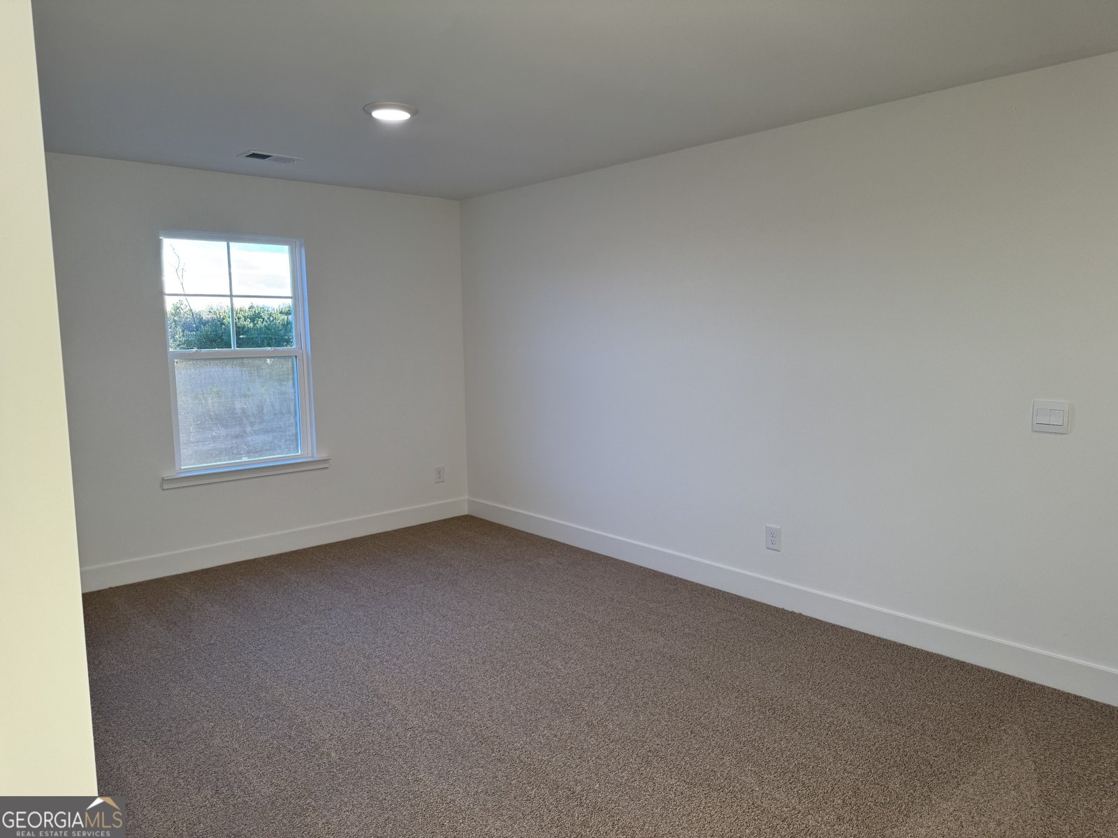 284 Thunder Valley Dawsonville - Photo 20