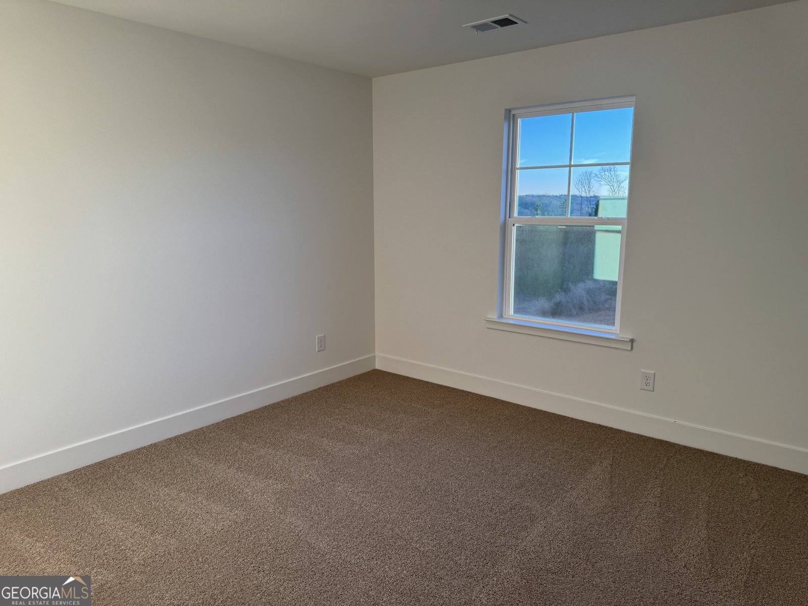 284 Thunder Valley Dawsonville - Photo 22