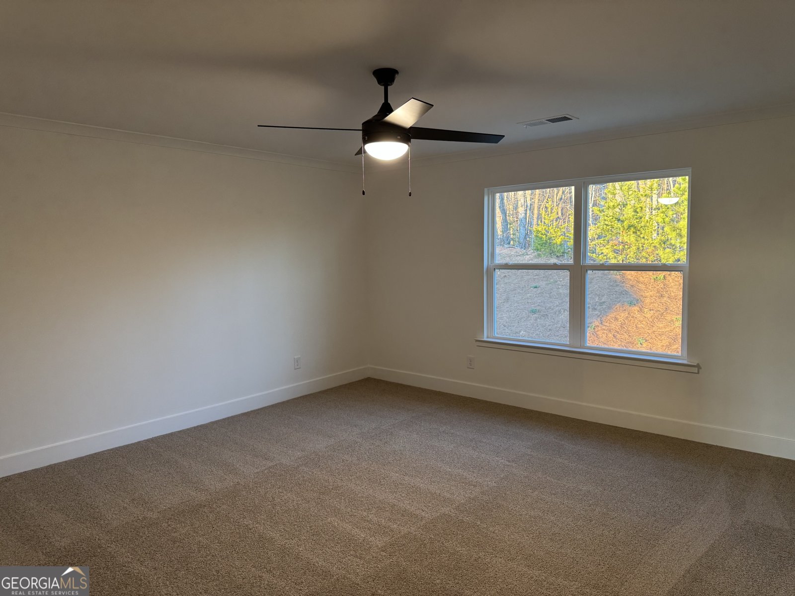 284 Thunder Valley Dawsonville - Photo 33