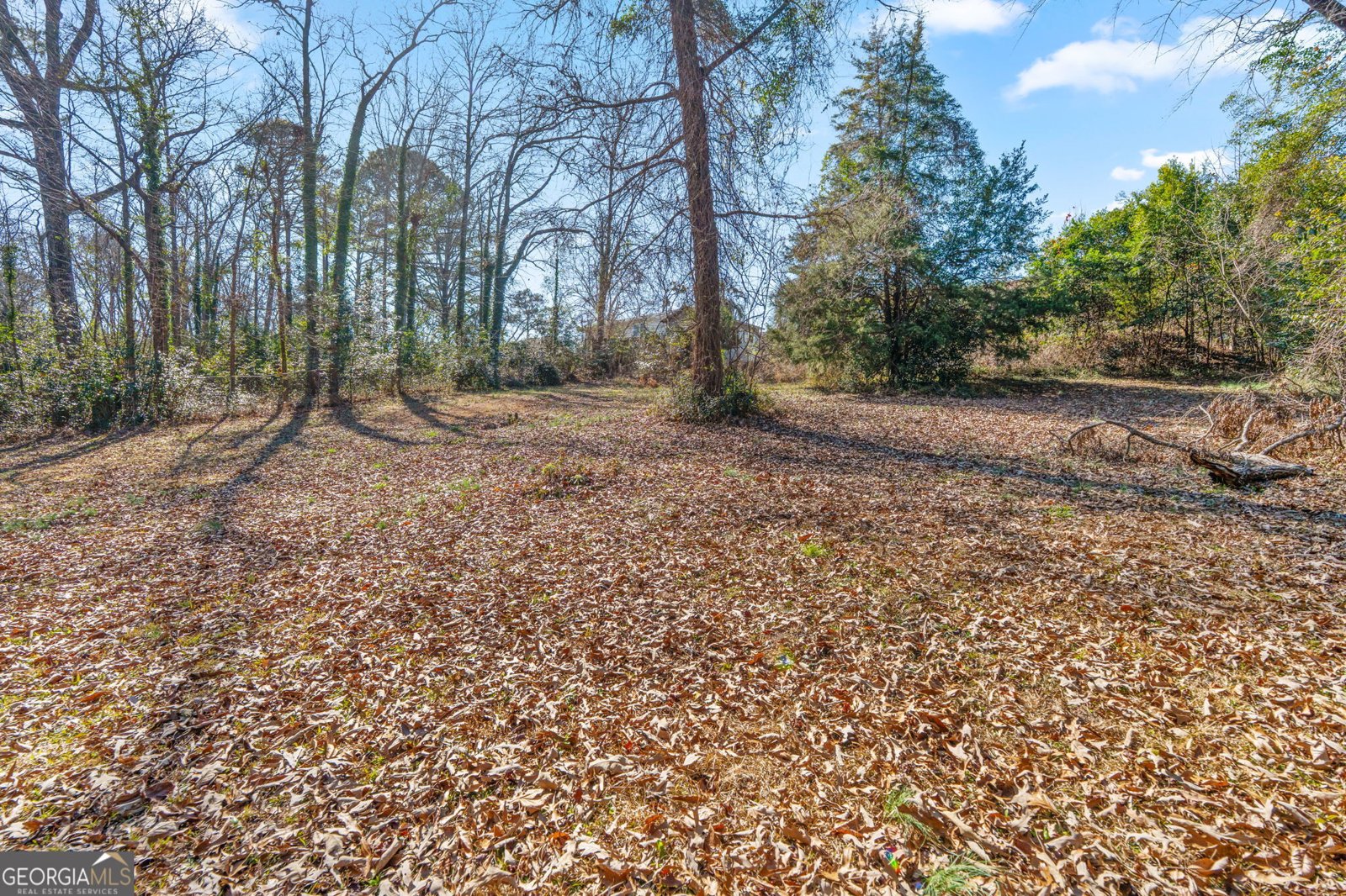 1012 Briarcliff Road Warner Robins - Photo 43