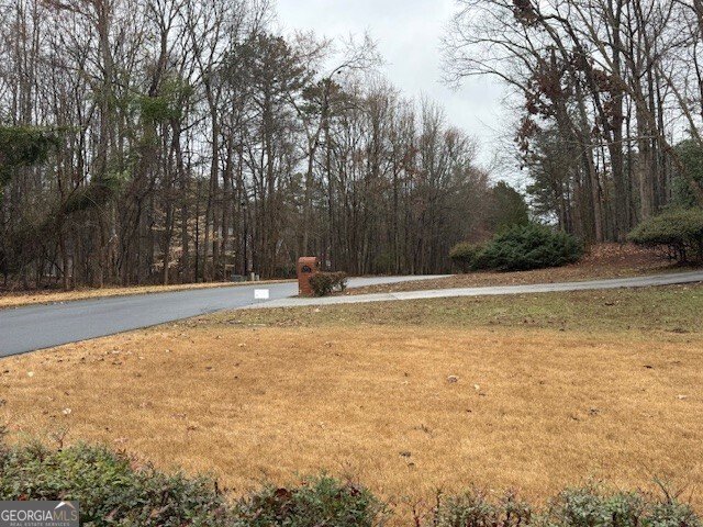 351 Antrim Glen Road Hoschton - Photo 10