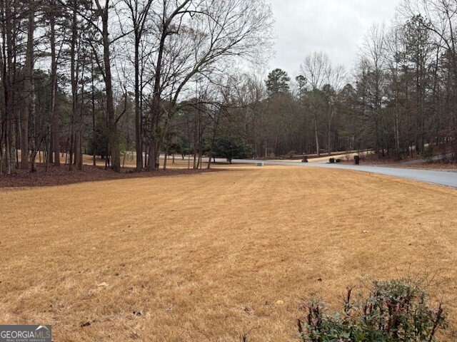 351 Antrim Glen Road Hoschton - Photo 9