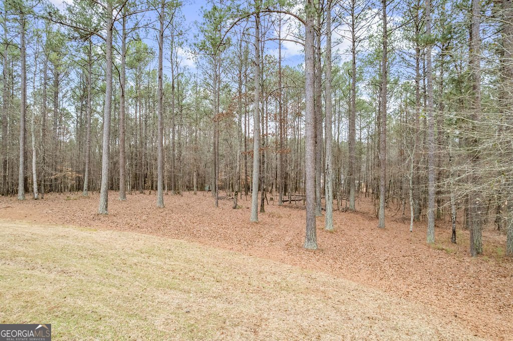 82 Bantry Park Drive Newnan - Photo 30