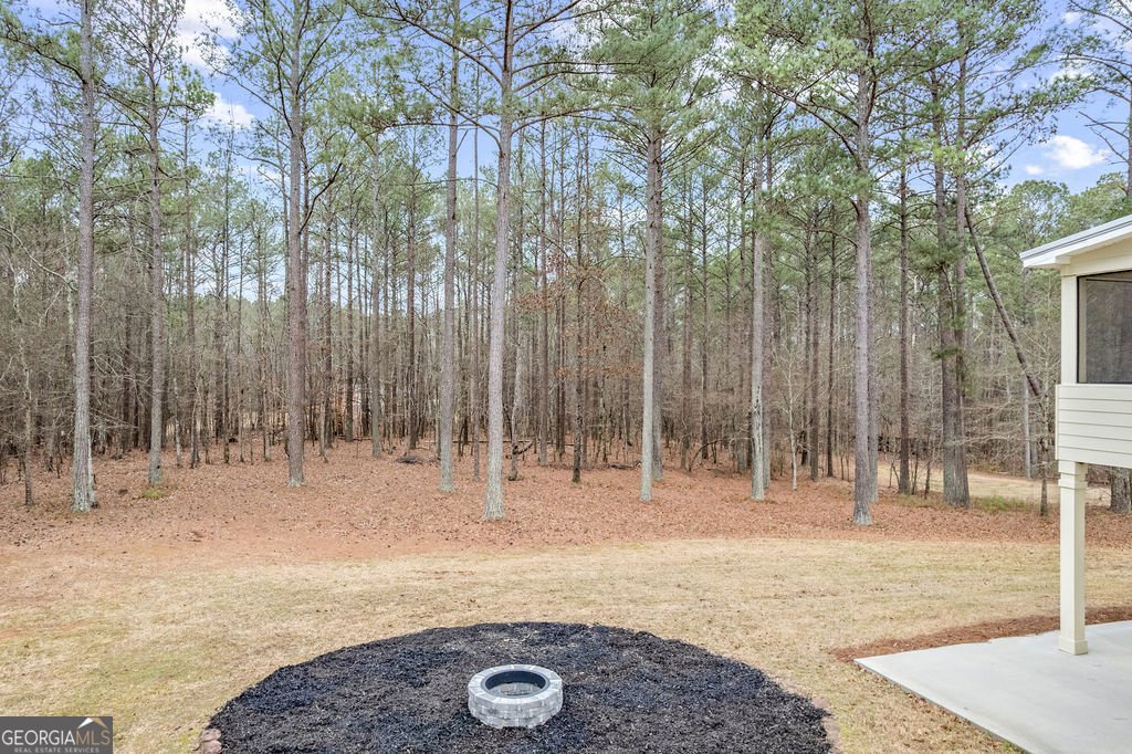 82 Bantry Park Drive Newnan - Photo 33