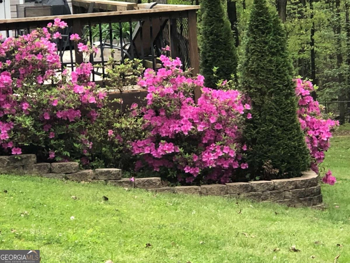 338 Valley Road Rydal - Photo 56