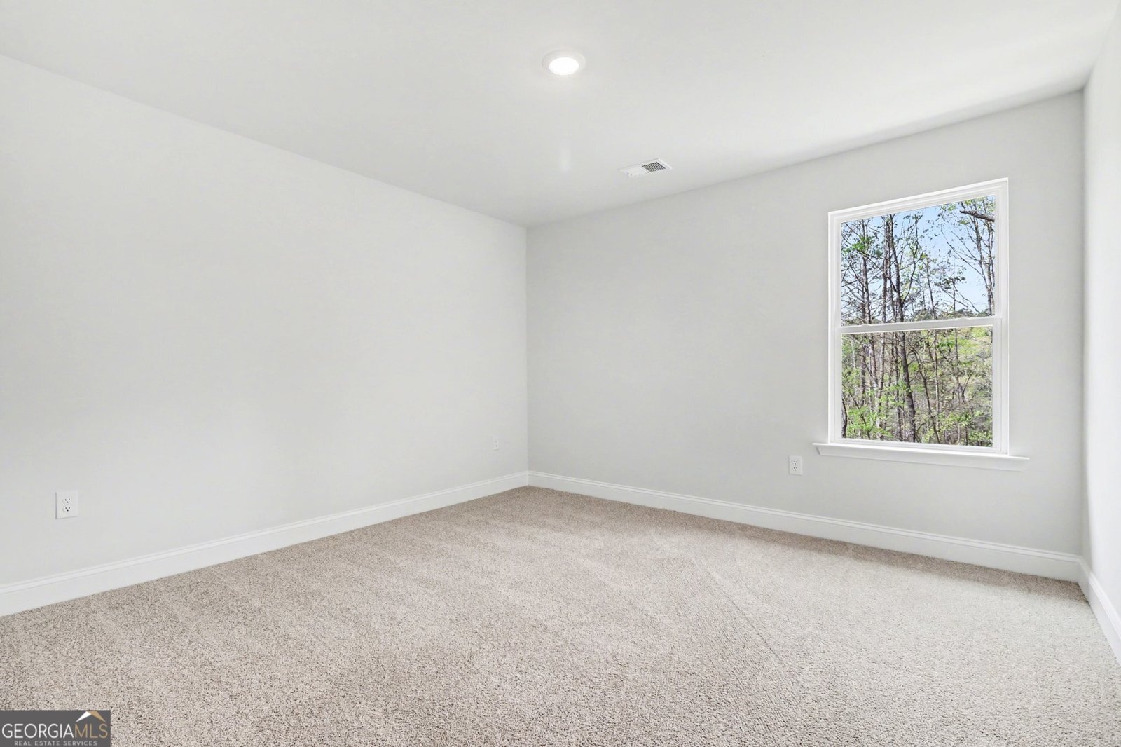 626 Walnut Creek Parkway Pendergrass - Photo 25