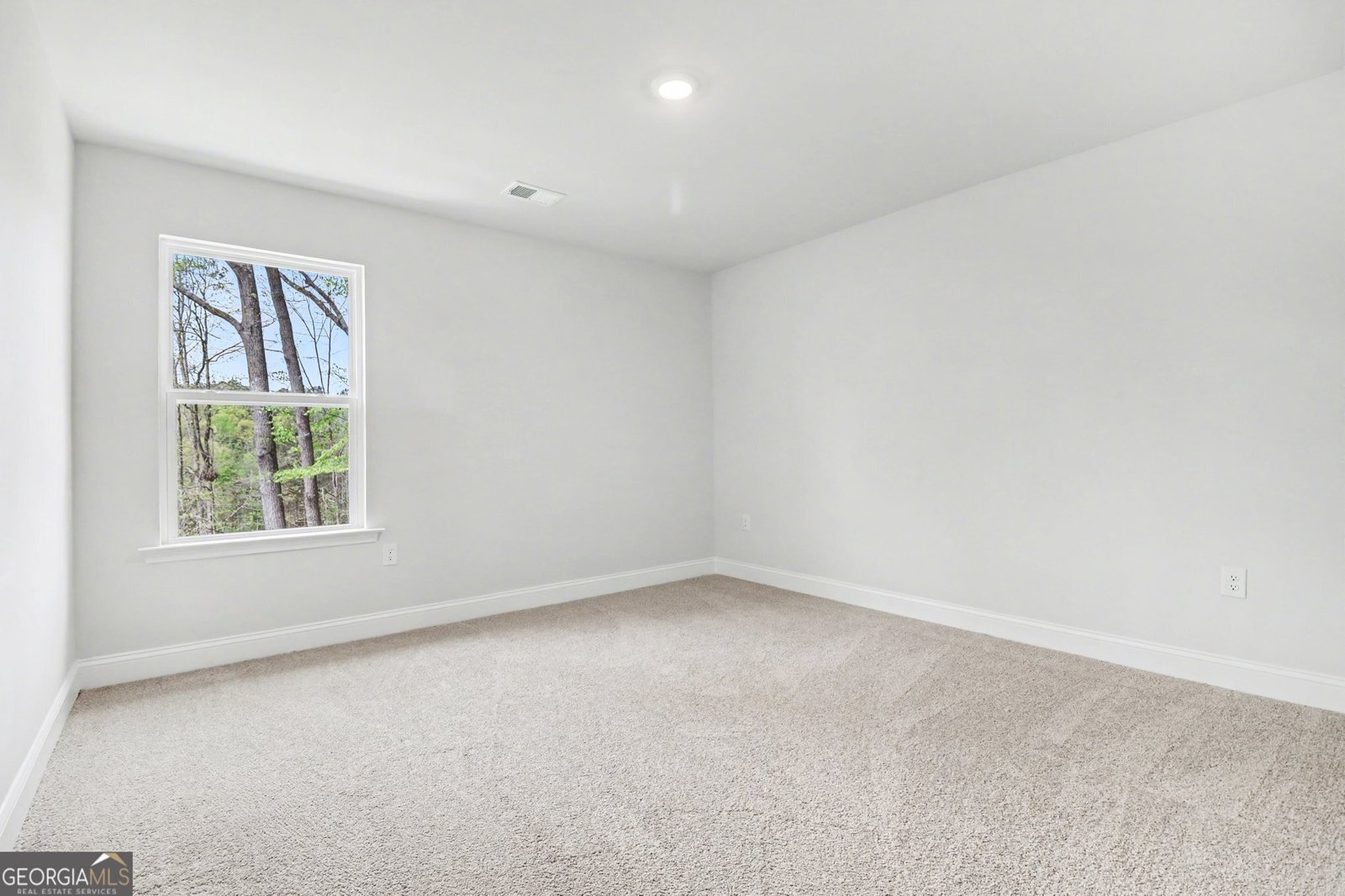 626 Walnut Creek Parkway Pendergrass - Photo 26