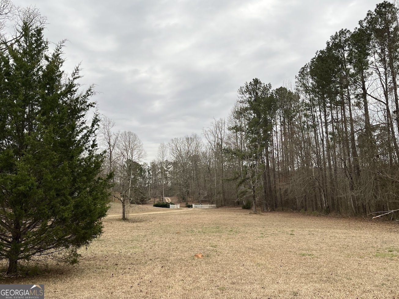 20229 Ga Highway 34 Franklin - Photo 11