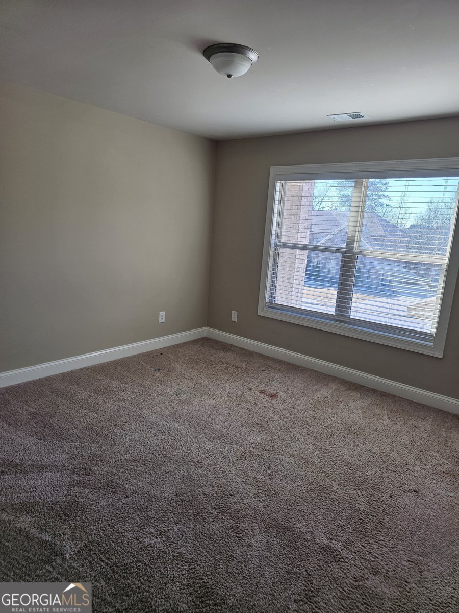 171 Barclay Drive McDonough - Photo 23