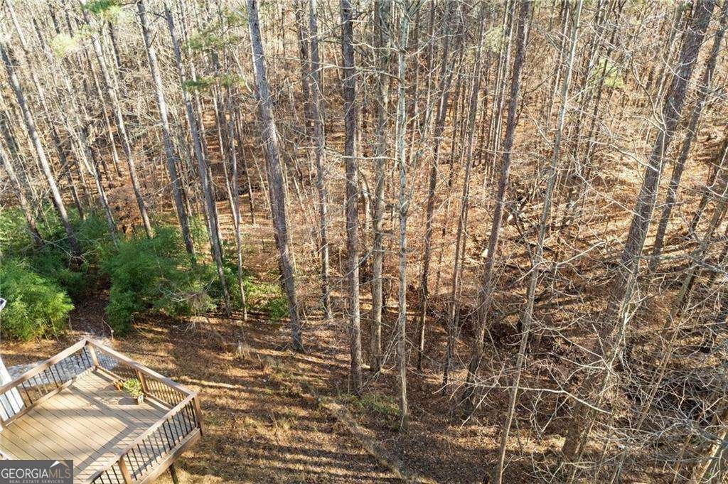 402 Eileen Circle Canton - Photo 35