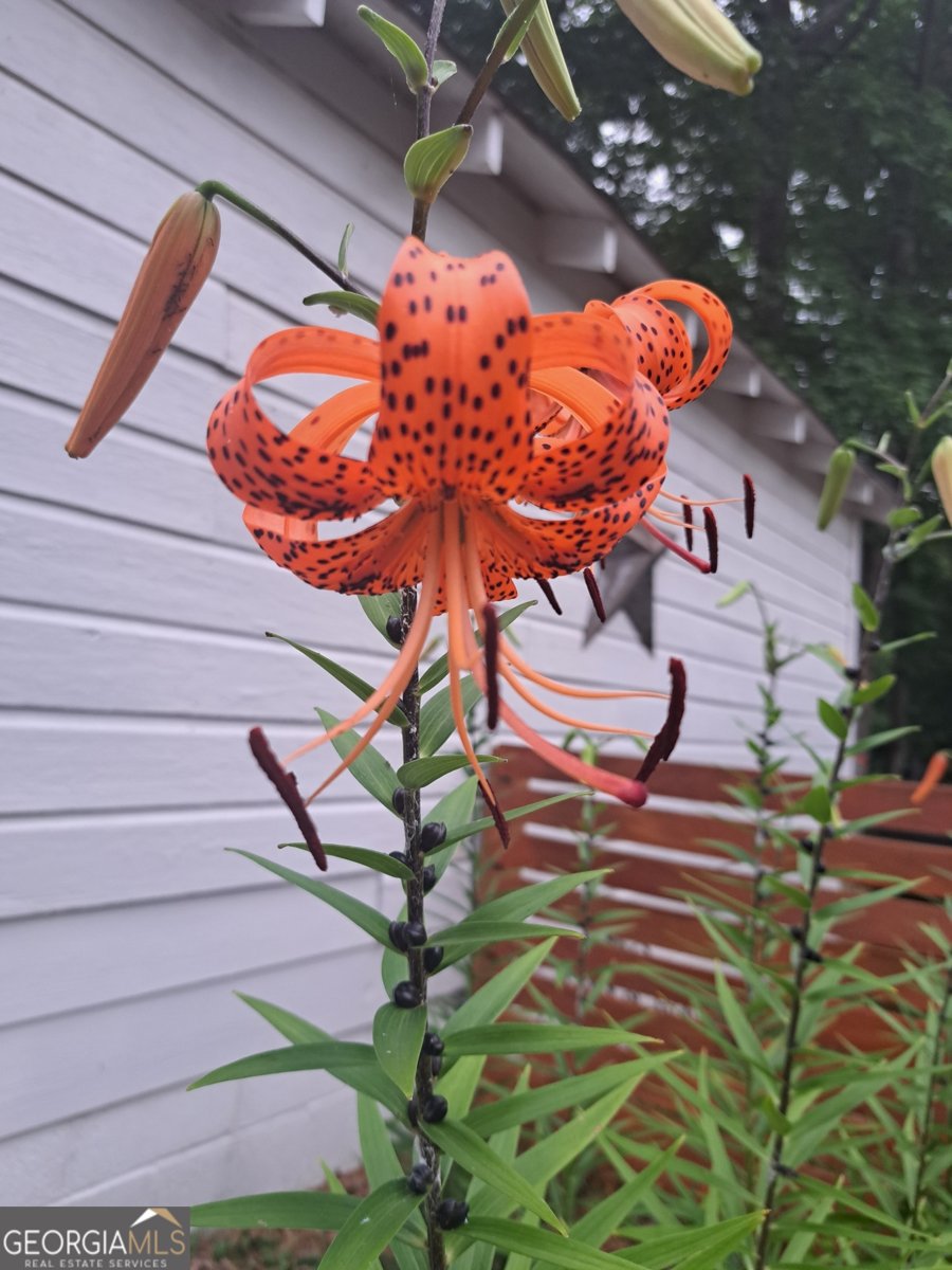 2014 16 Highway Carrollton - Photo 64