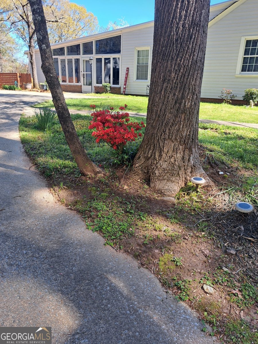 2014 16 Highway Carrollton - Photo 66