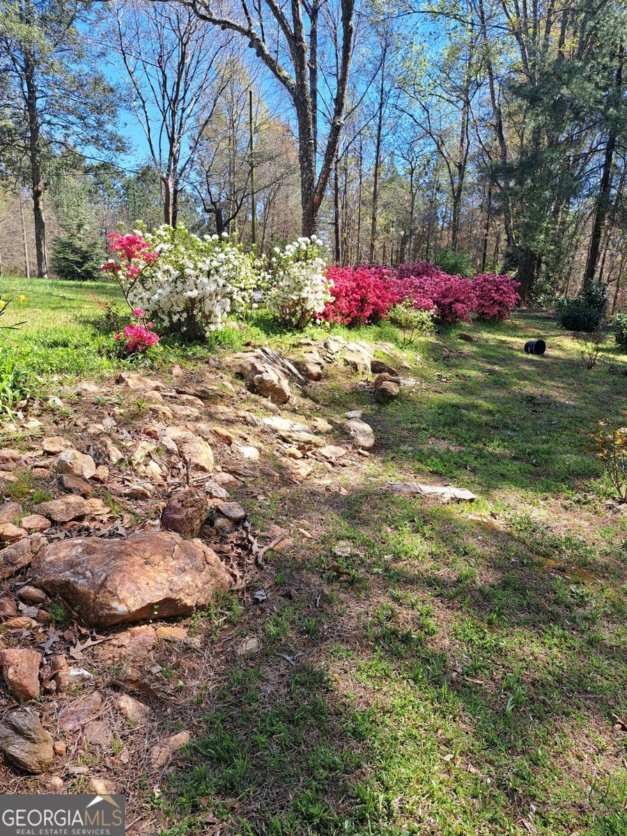 2014 16 Highway Carrollton - Photo 68