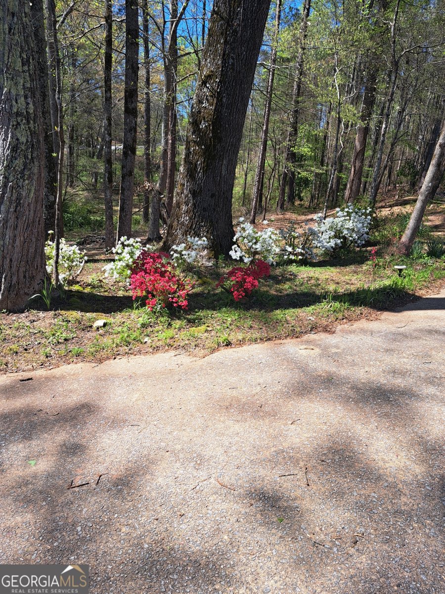 2014 16 Highway Carrollton - Photo 73