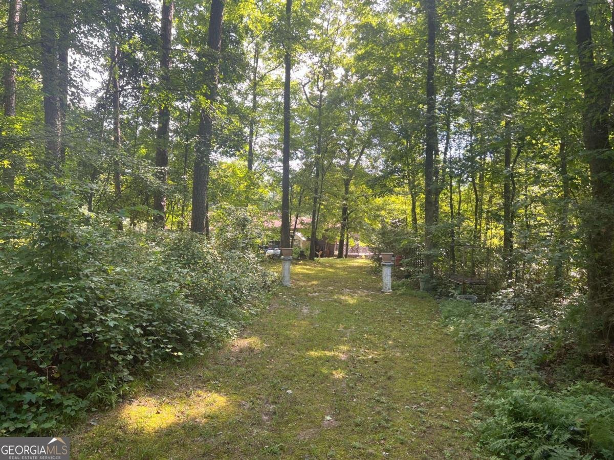 1535 Rogers Lake Road Lithonia - Photo 18