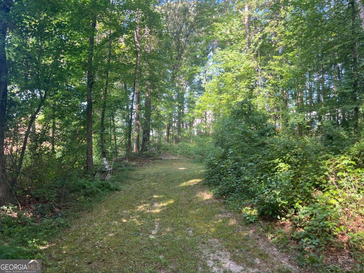 1535 Rogers Lake Road Lithonia - Photo 19