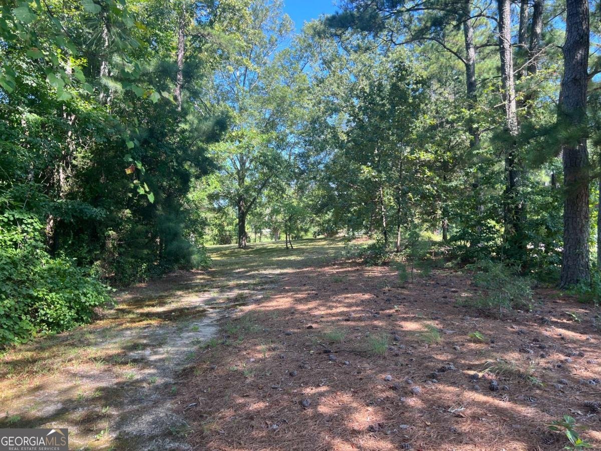 1535 Rogers Lake Road Lithonia - Photo 28