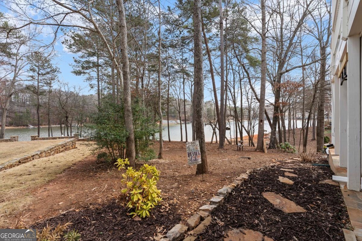 300 Waterfront Park Lane Dawsonville - Photo 65