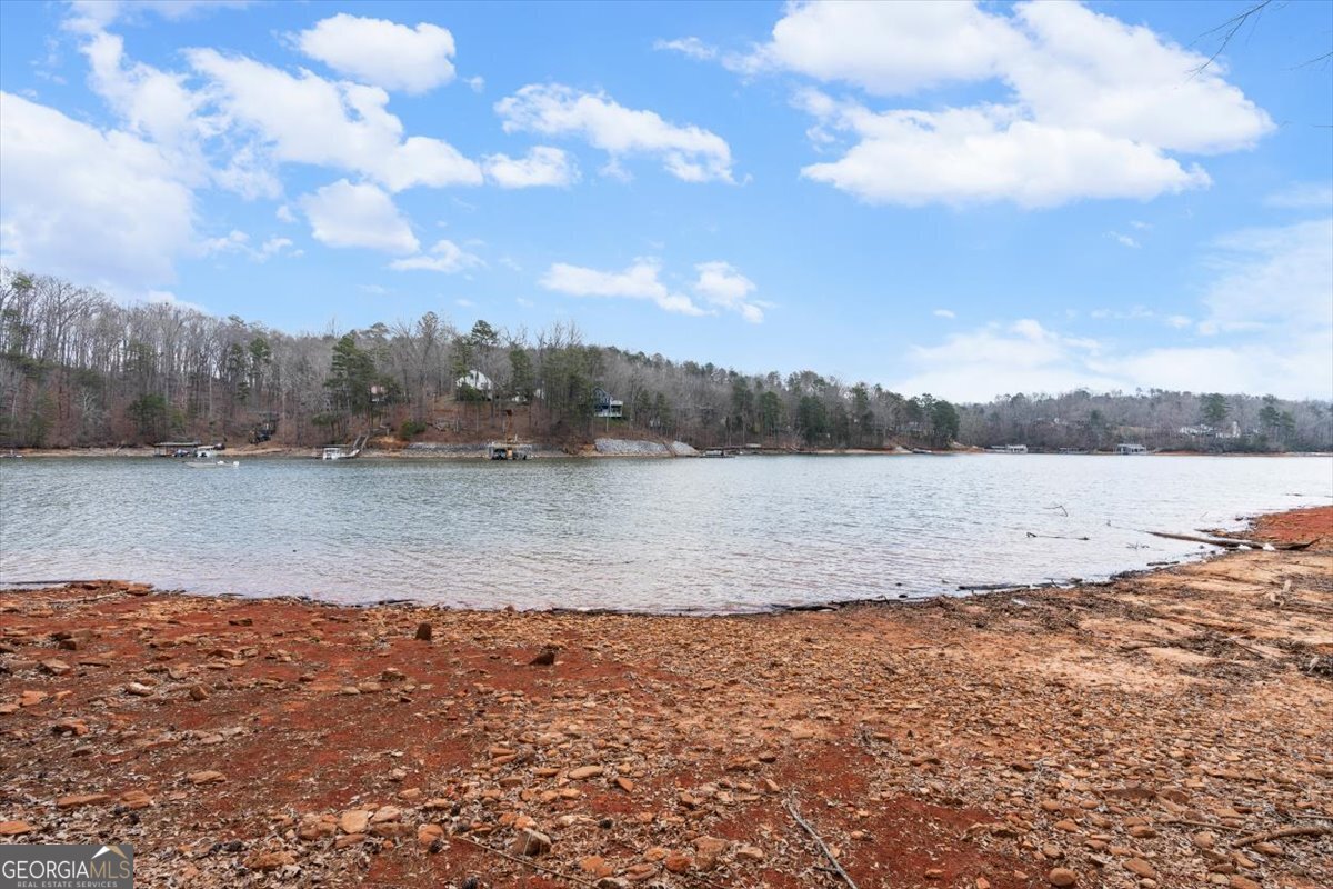 300 Waterfront Park Lane Dawsonville - Photo 71