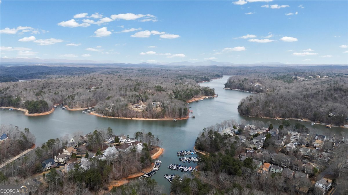 300 Waterfront Park Lane Dawsonville - Photo 88