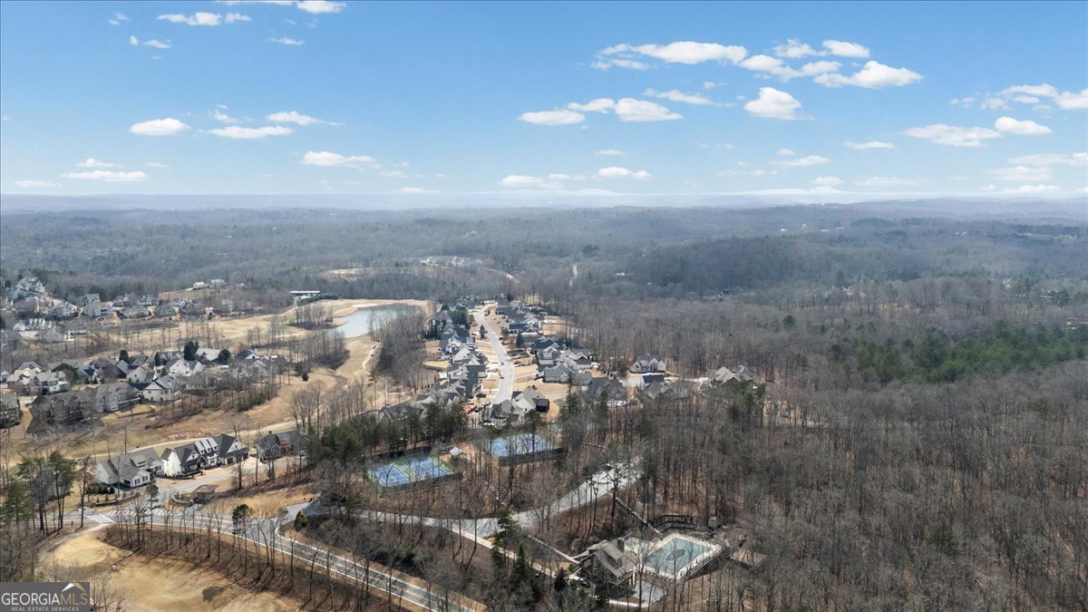 300 Waterfront Park Lane Dawsonville - Photo 90