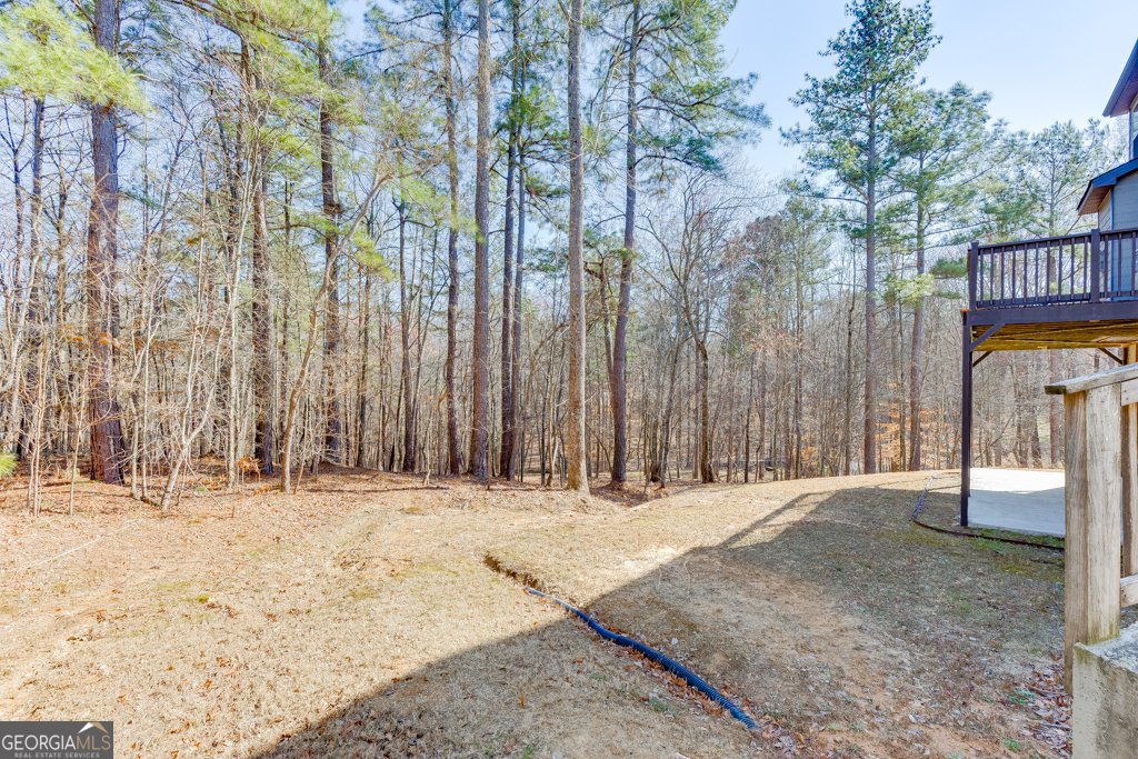 2085 Mount Grove Court Dacula - Photo 59