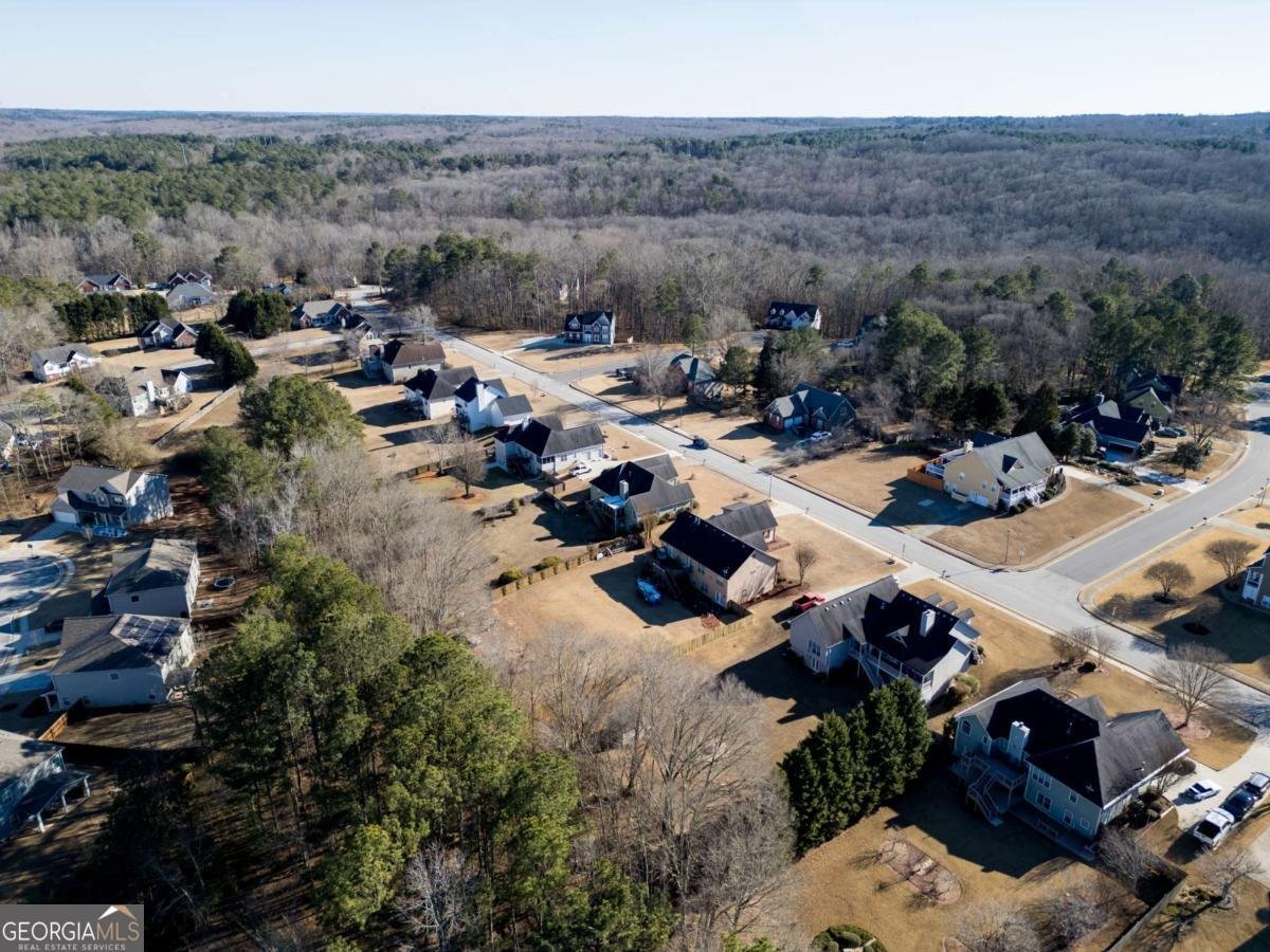 3182 Planters Mill Drive Dacula - Photo 78