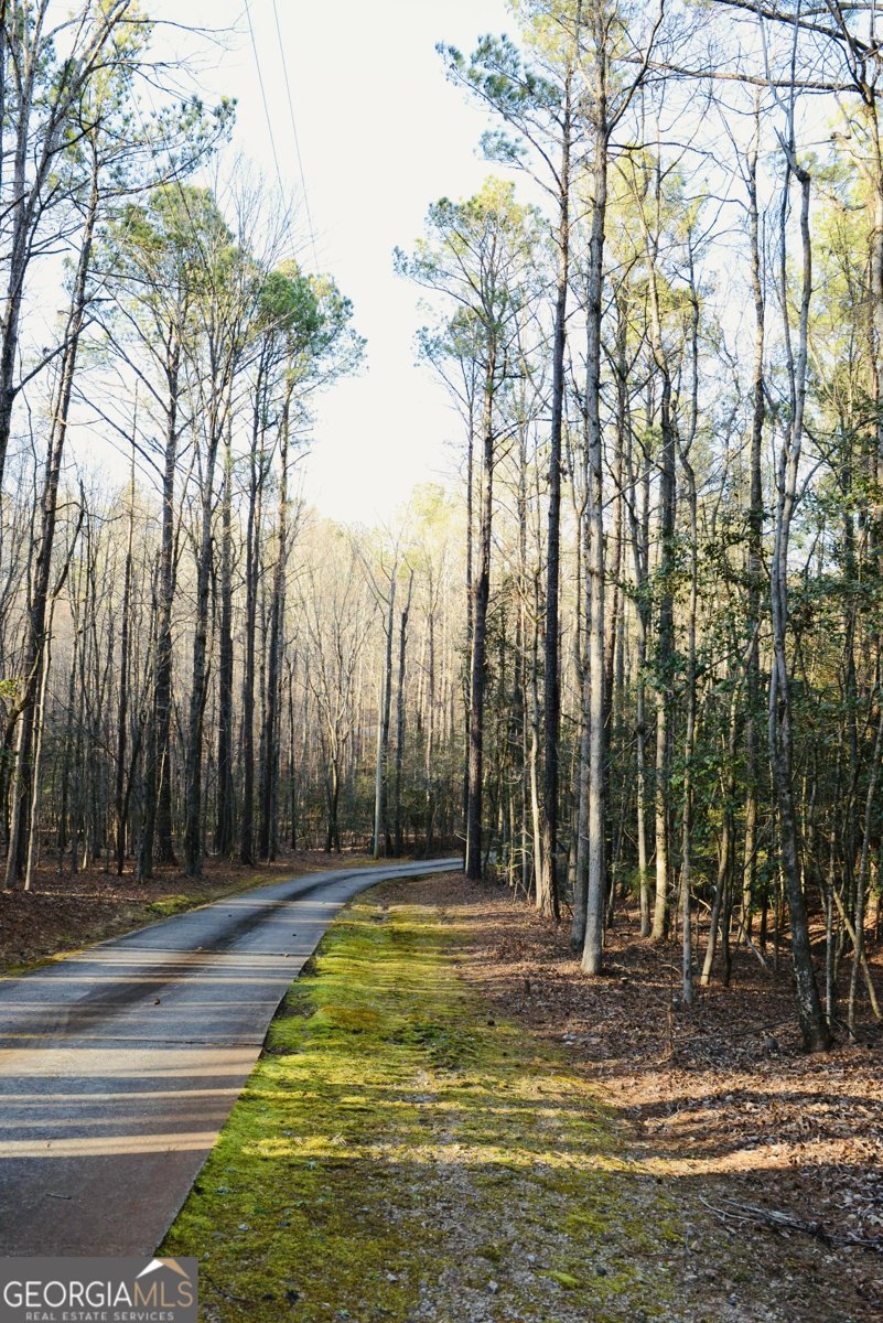 175 Marron Road Fayetteville - Photo 15