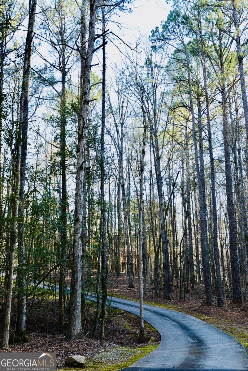 175 Marron Road Fayetteville - Photo 46