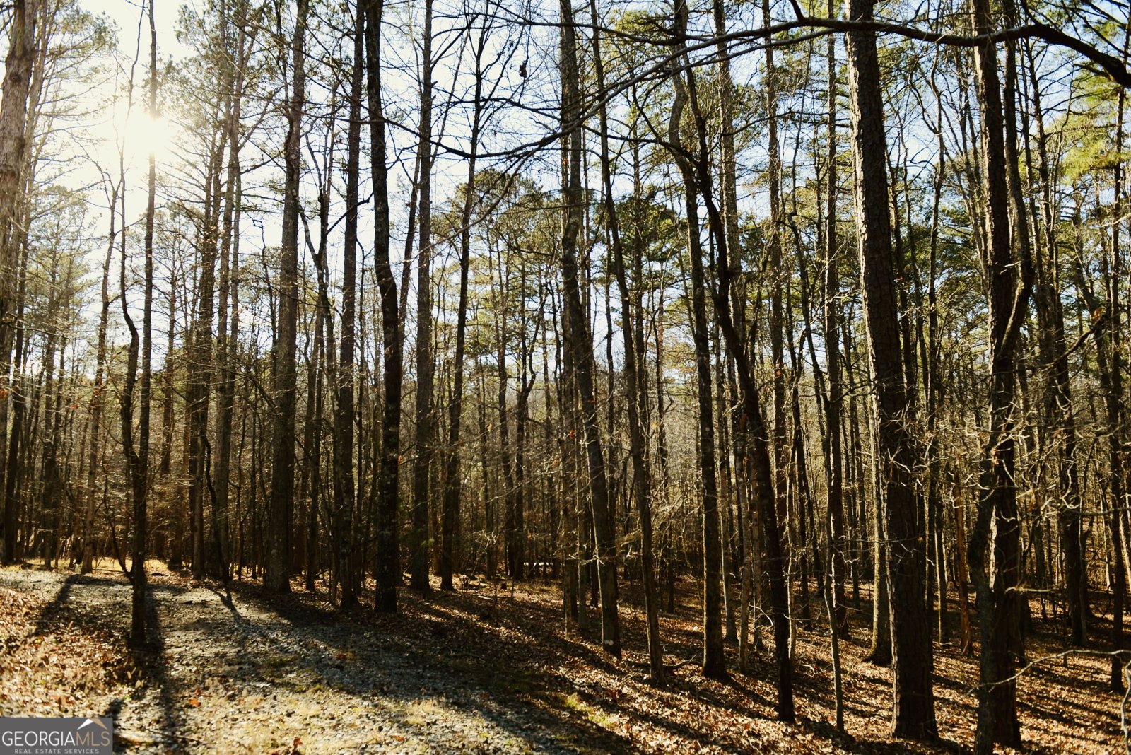 175 Marron Road Fayetteville - Photo 50