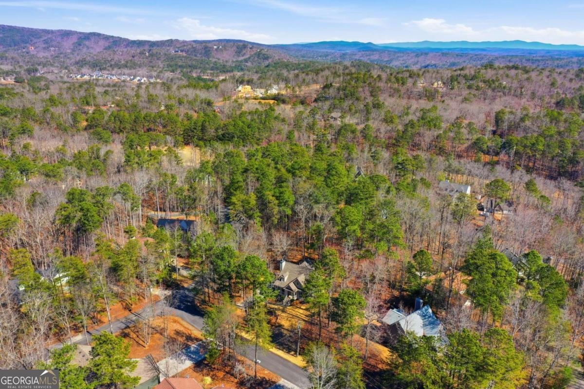 101 Puma Court Waleska - Photo 38