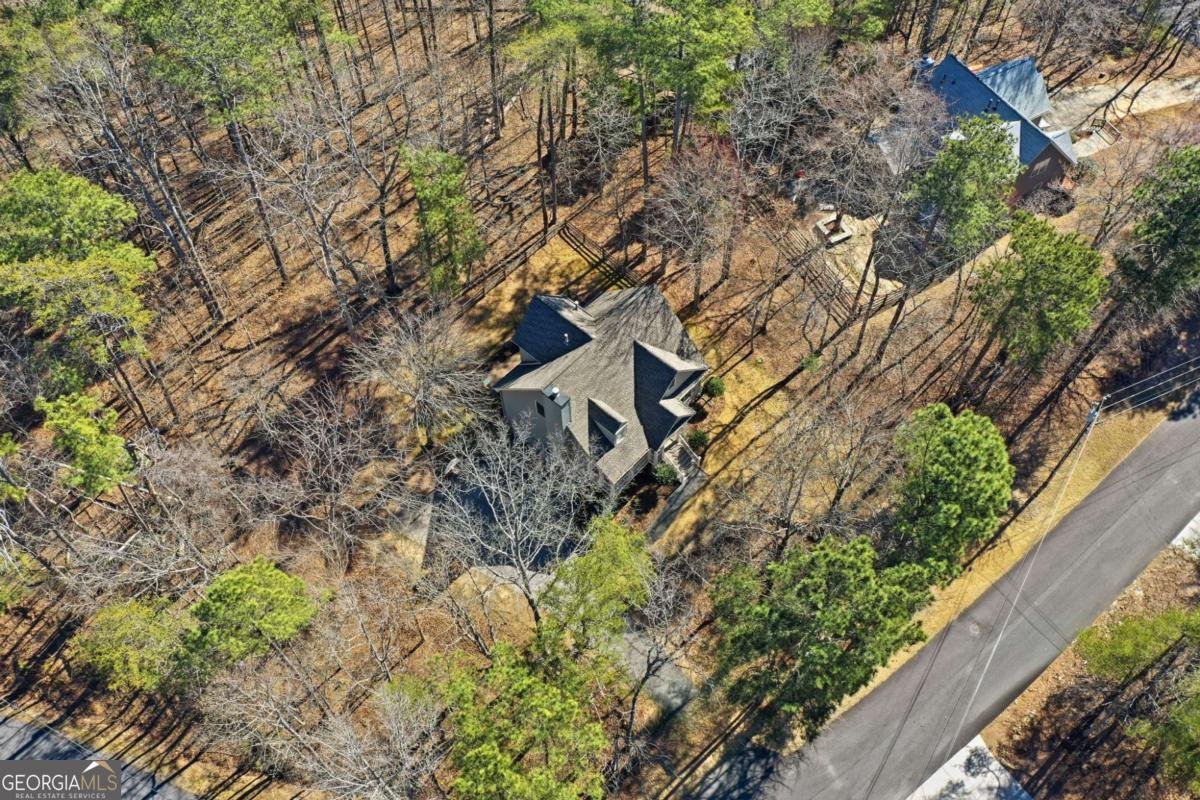 101 Puma Court Waleska - Photo 40