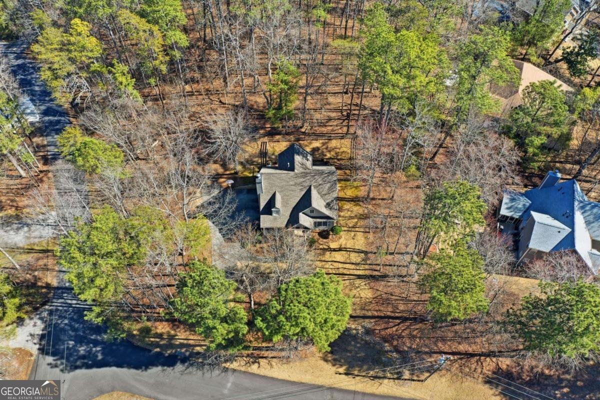 101 Puma Court Waleska - Photo 41