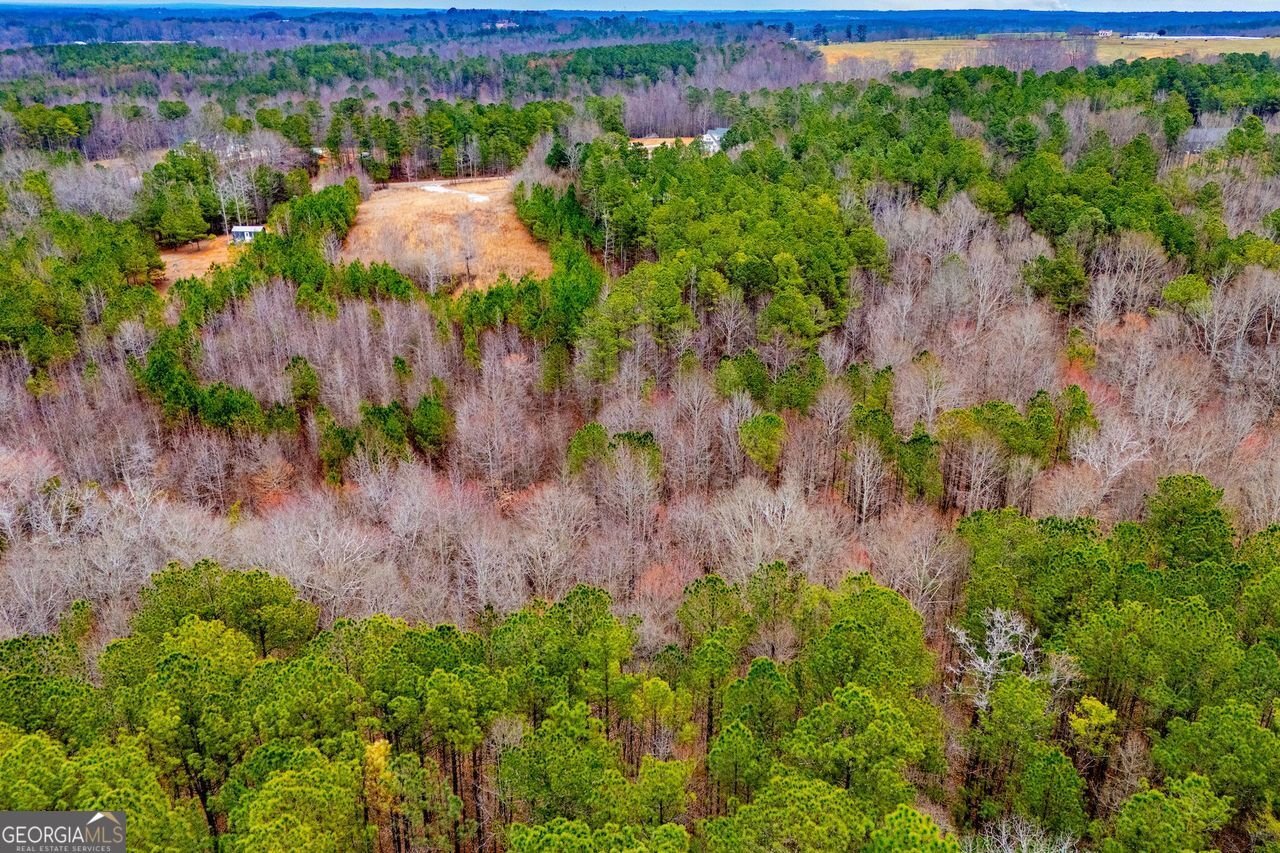 475 Rance Foster Road Bowdon - Photo 44