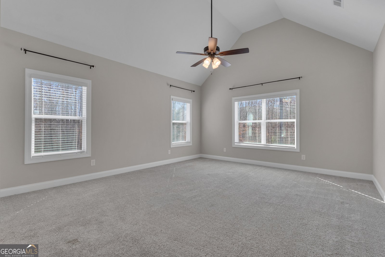 297 Walden Pond Trail Senoia - Photo 34