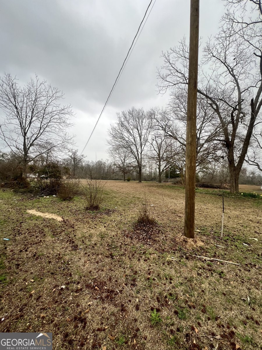 177 Dewey Warnock Road East Dublin - Photo 35