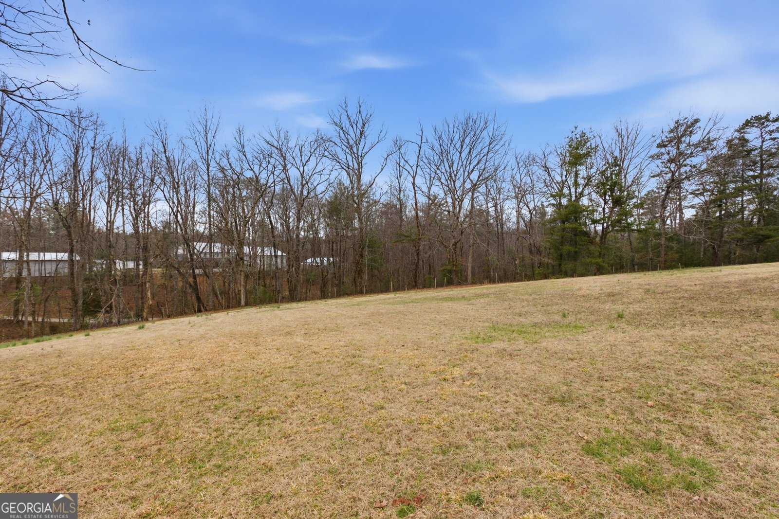 611 Dooley Road Clarkesville - Photo 35