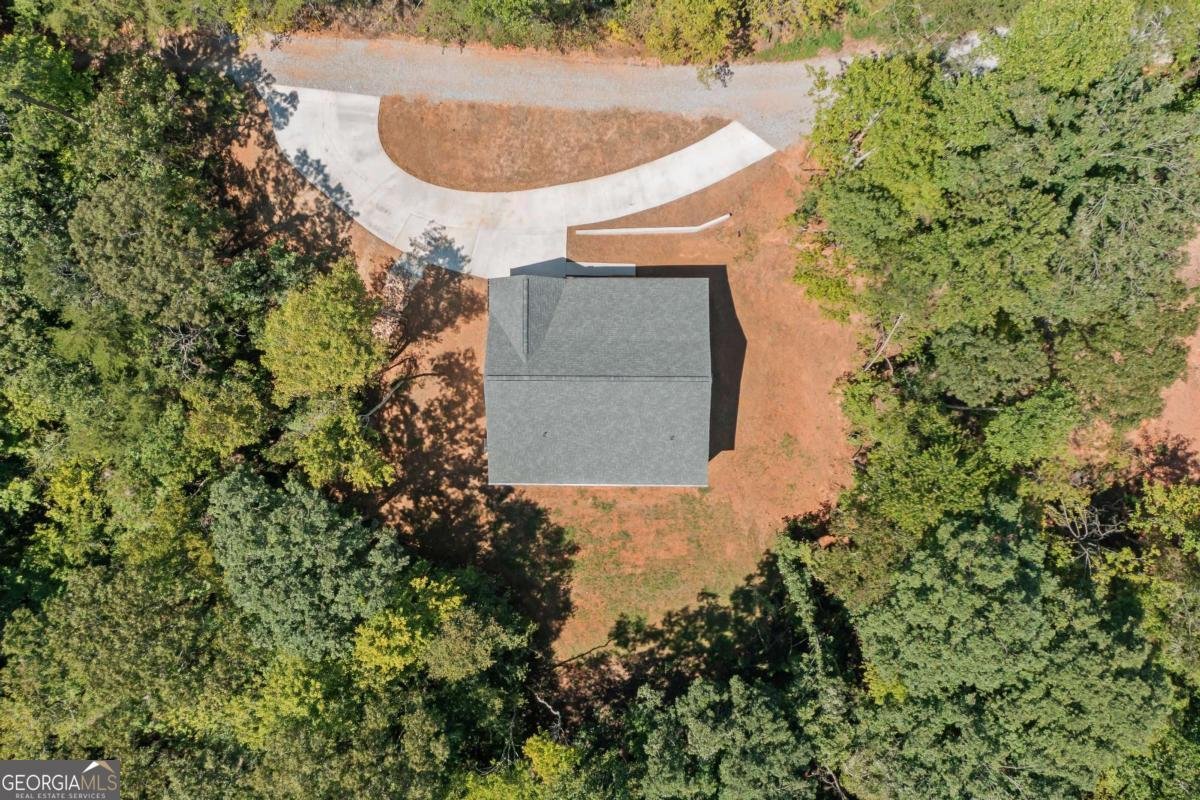 4130 HWY 136 East Dawsonville - Photo 37