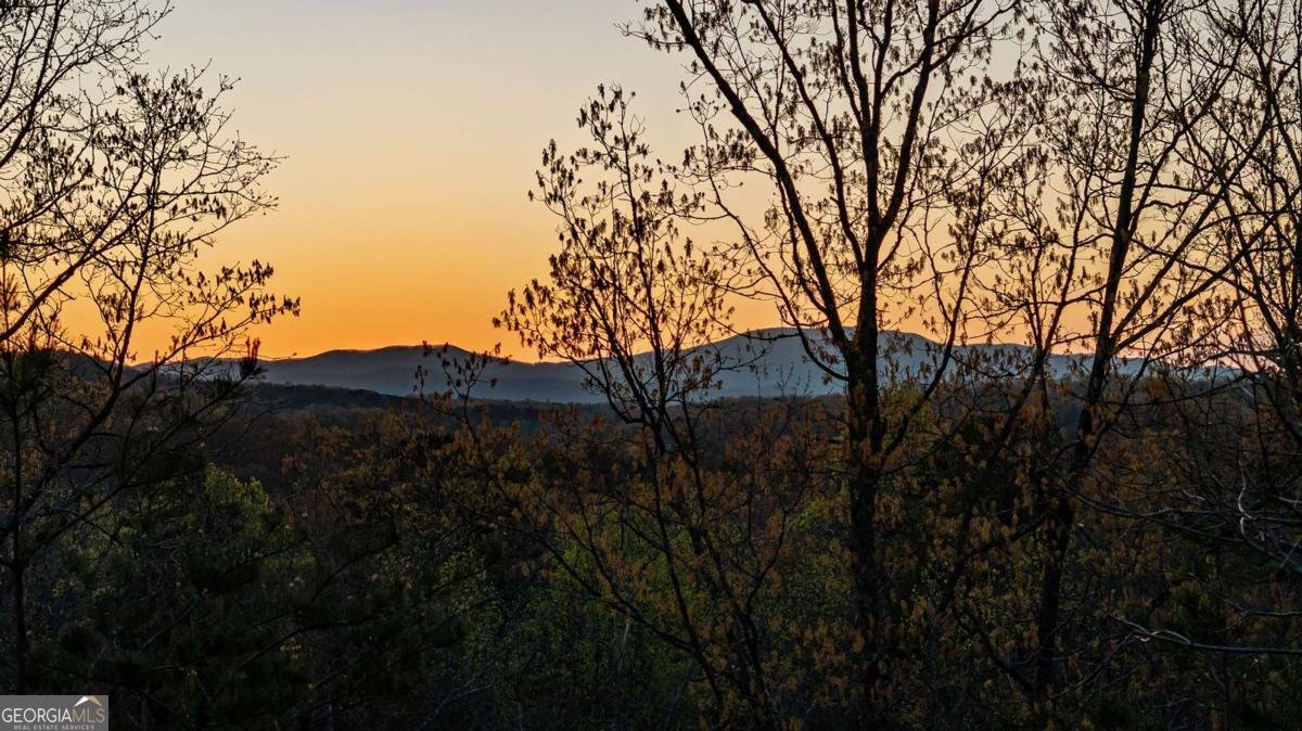 346 Logan Drive Mineral Bluff - Photo 36