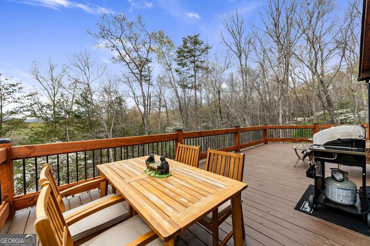 346 Logan Drive Mineral Bluff - Photo 39