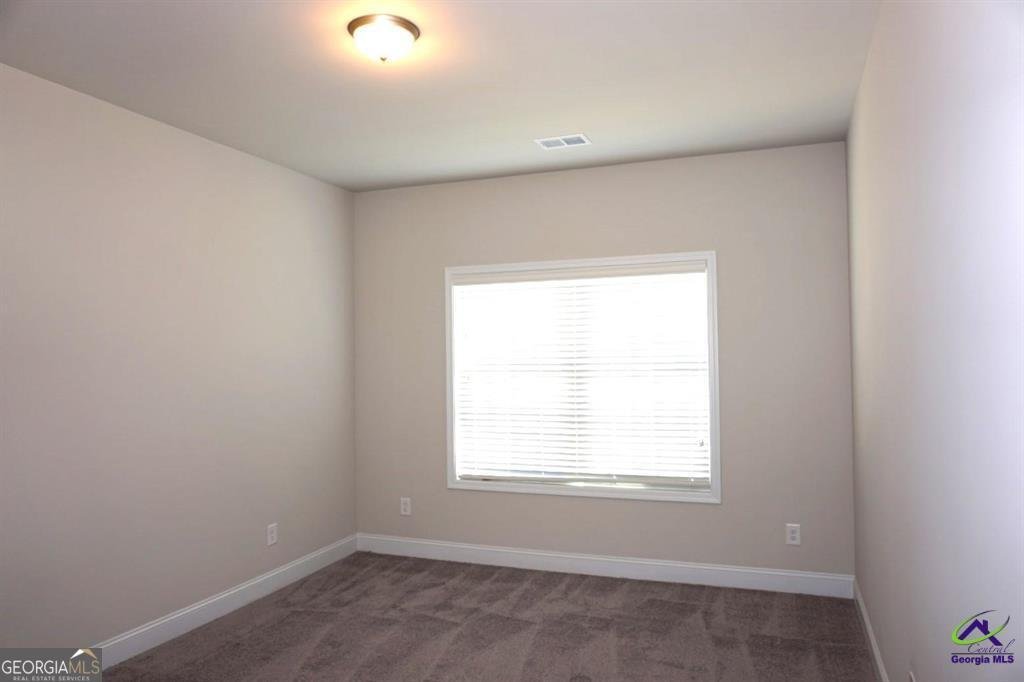 121 Bluecoat Trail Byron - Photo 12