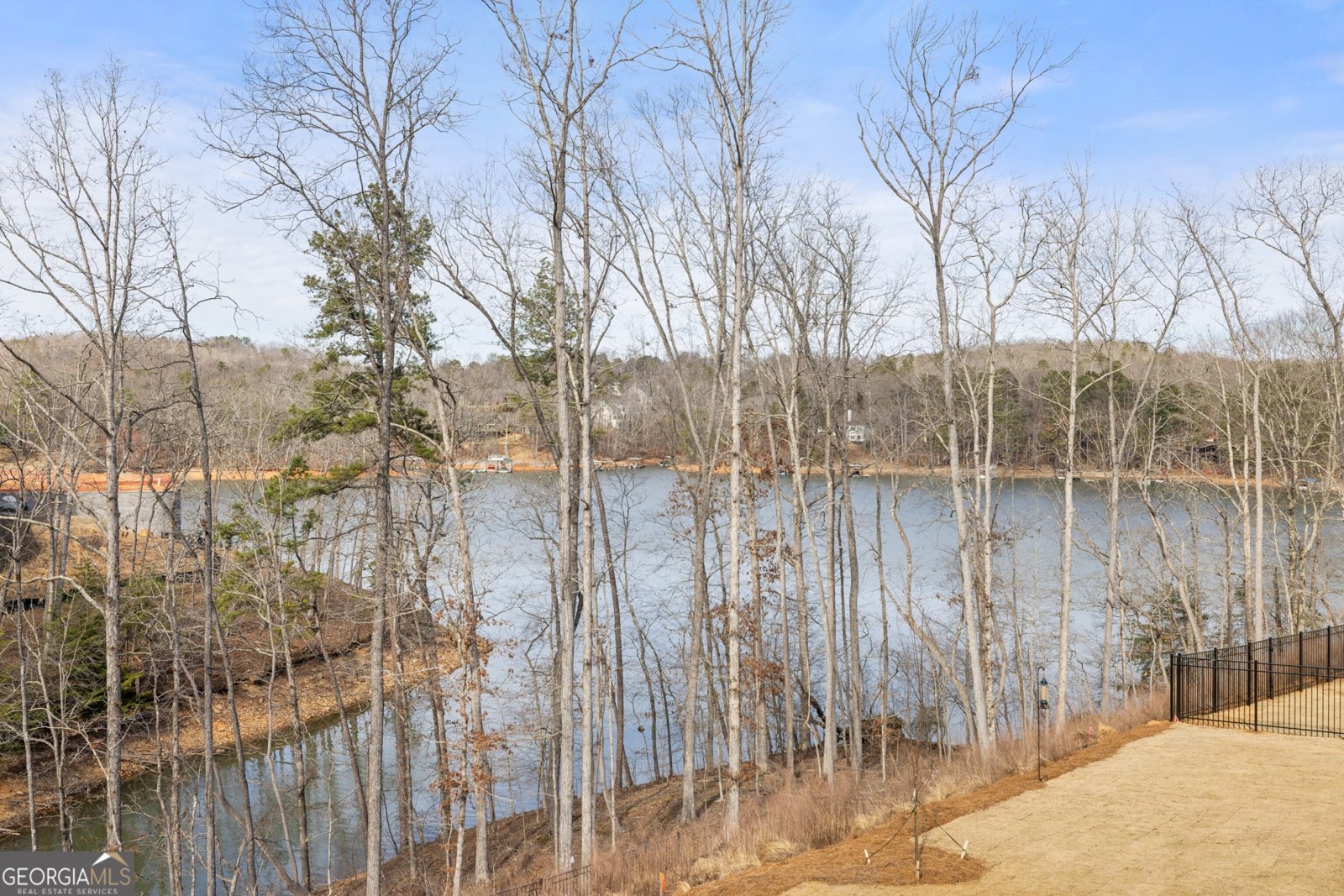 239 East Harbor Drive Dawsonville - Photo 27