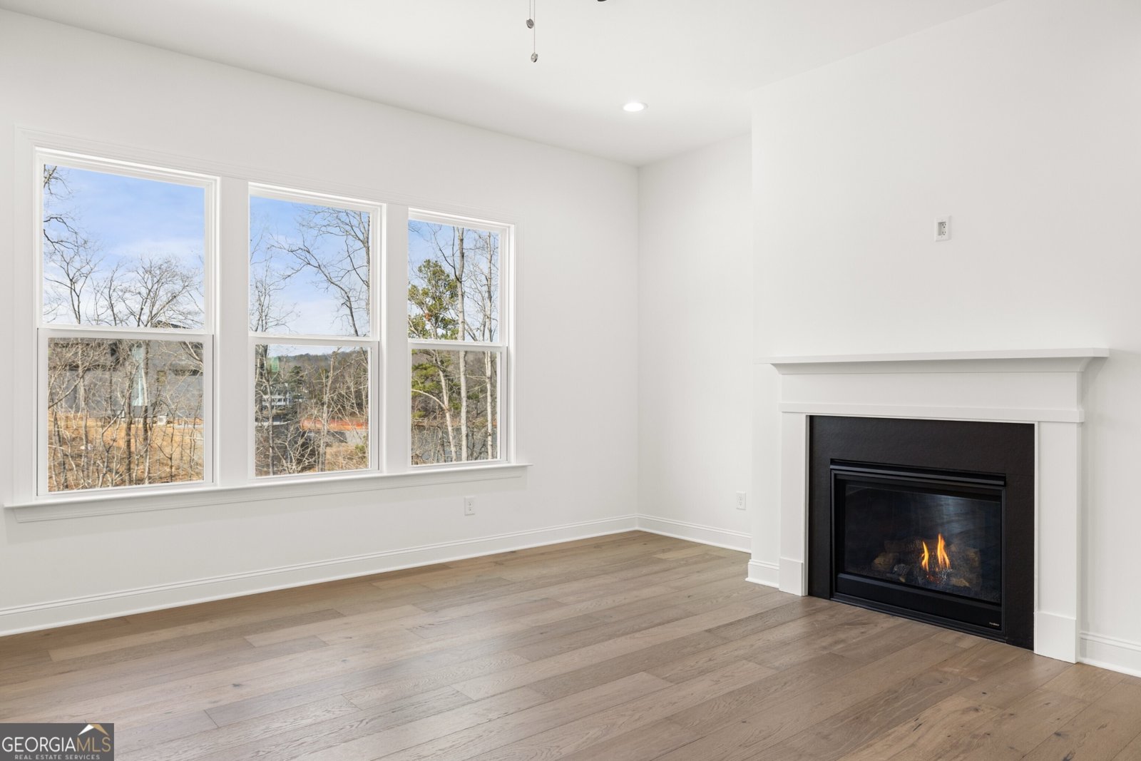 239 East Harbor Drive Dawsonville - Photo 29