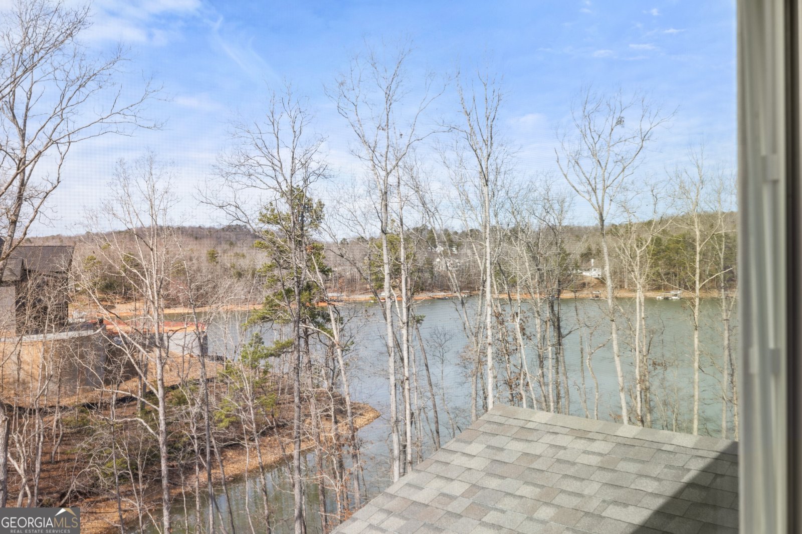 239 East Harbor Drive Dawsonville - Photo 50