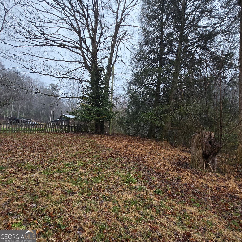 5134 Boardtown Road Ellijay - Photo 13