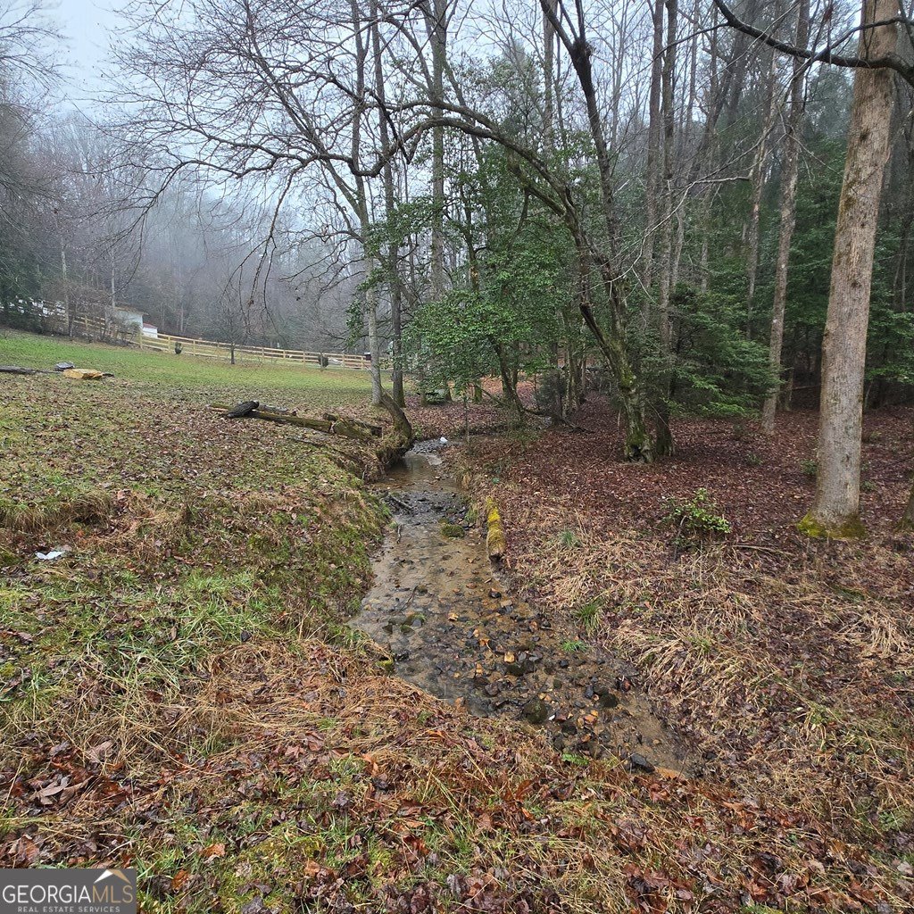 5134 Boardtown Road Ellijay - Photo 16