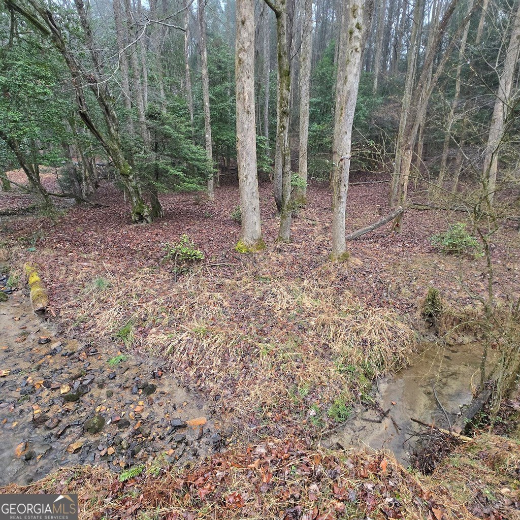 5134 Boardtown Road Ellijay - Photo 17